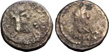 ������: 699-4555