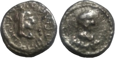 ������: 699-4555