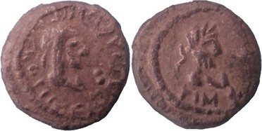 ������: 699-4555