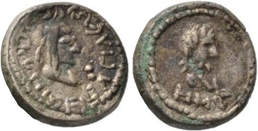 ������: 699-4555