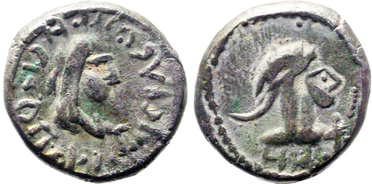 ������: 699-4556