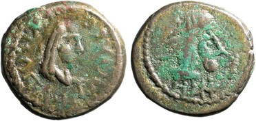 ������: 699-4556