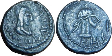 ������: 699-4556