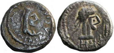 ������: 699-4556