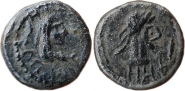 ������: 699-4556