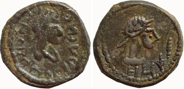 ������: 699-4556