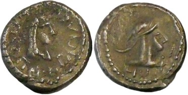 ������: 699-4556