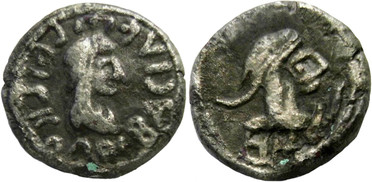 ������: 699-4556