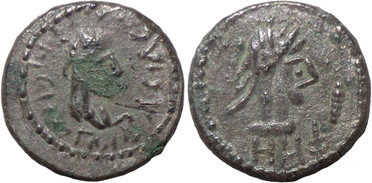 ������: 699-4556