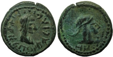 ������: 699-4556