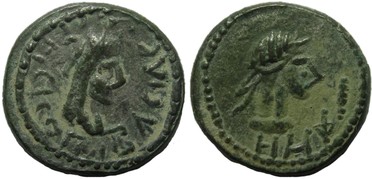 ������: 699-4556