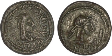 ������: 699-4556