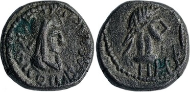 ������: 699-4556