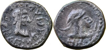 ������: 699-4556