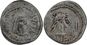 ������: 699-4556