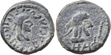 ������: 699-4556