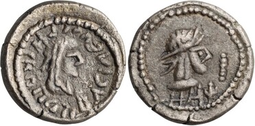 ������: 699-4556