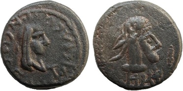 ������: 699-4556