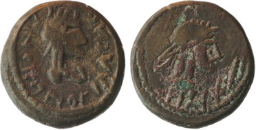 ������: 699-4556