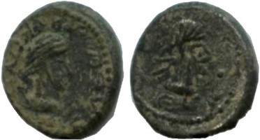 ������: 700-4557