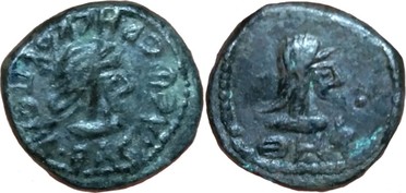 ������: 700-4557