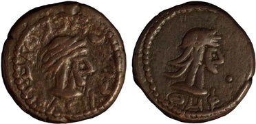 ������: 700-4557