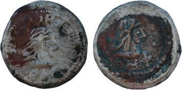 ������: 700-4557