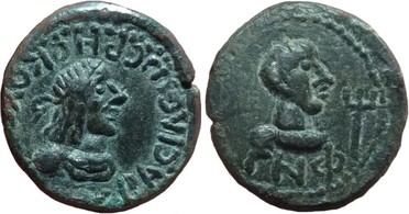 ������: 704-4519