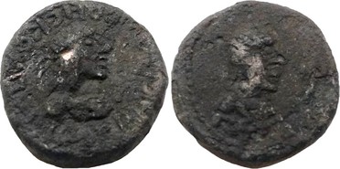 ������: 704-4519