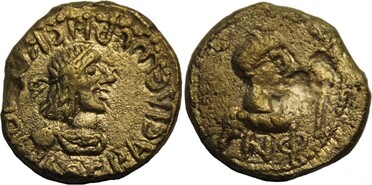 ������: 704-4519