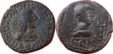 ������: 704-4519