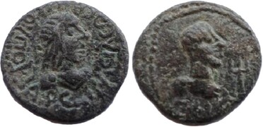 ������: 704-4519