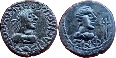 ������: 704-4519