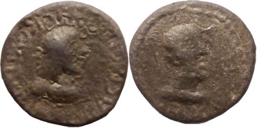 ������: 704-4519