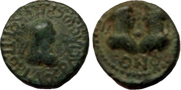 ������: 707-4072