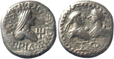 ������: 710-4429