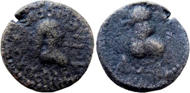 ������: 716-4402