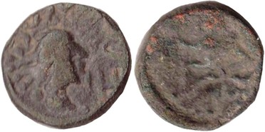 ������: 721-4700