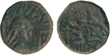 ������: 721-5284