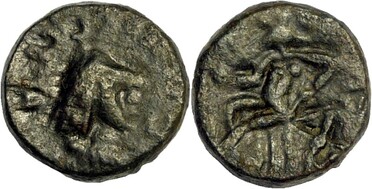 ������: 721-5284