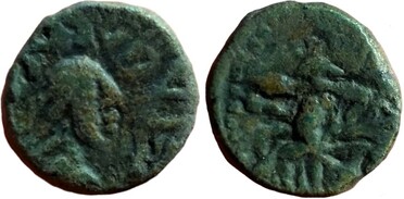 ������: 721-5284