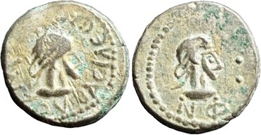 ������: 723-4063