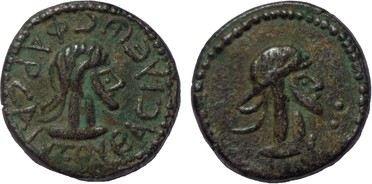 ������: 723-4063