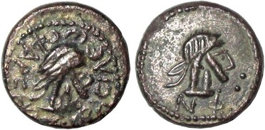 ������: 723-4063