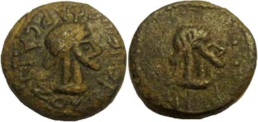 ������: 723-4063