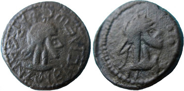 ������: 723-4063