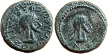 ������: 723-4063