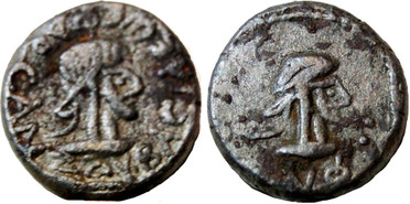 ������: 723-4063