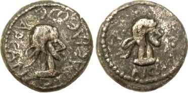 ������: 723-4063