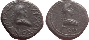 ������: 727-4070